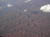 IM003999