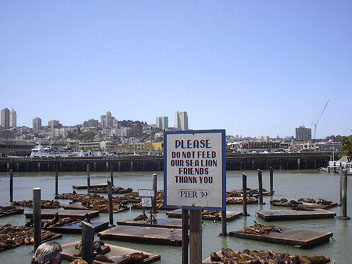 IM004108