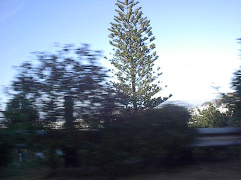 IM004160