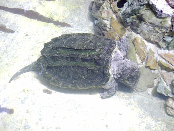 Image002