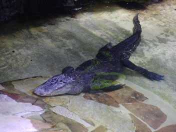 Image003