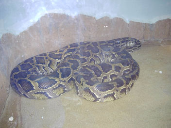 Image006