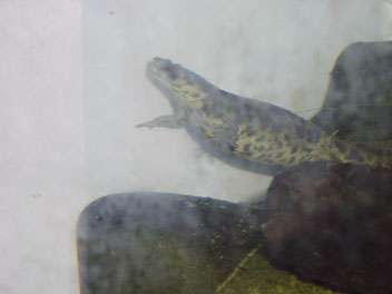 Image008