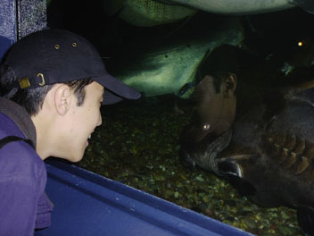 Image018