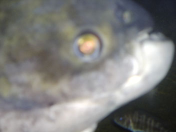 Image022