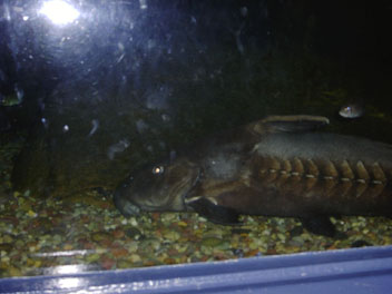 Image023