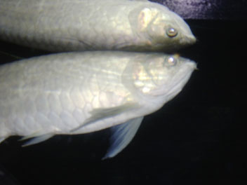 Image024