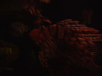 Image029