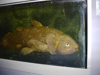 Image055