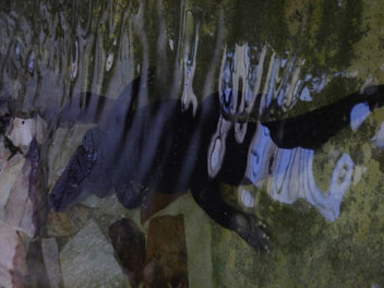 Image101