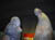 Image088