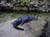 Image100