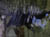 Image101
