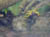 Image103