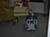 Image039
