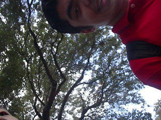 IM000254