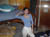 IM001710
