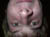 IM001800