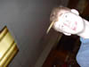 IM000180