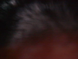 IM002695