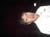 IM002799
