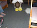 IM000510