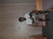 IM000444