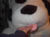 IM002588