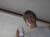 IM000083