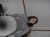 IM000161